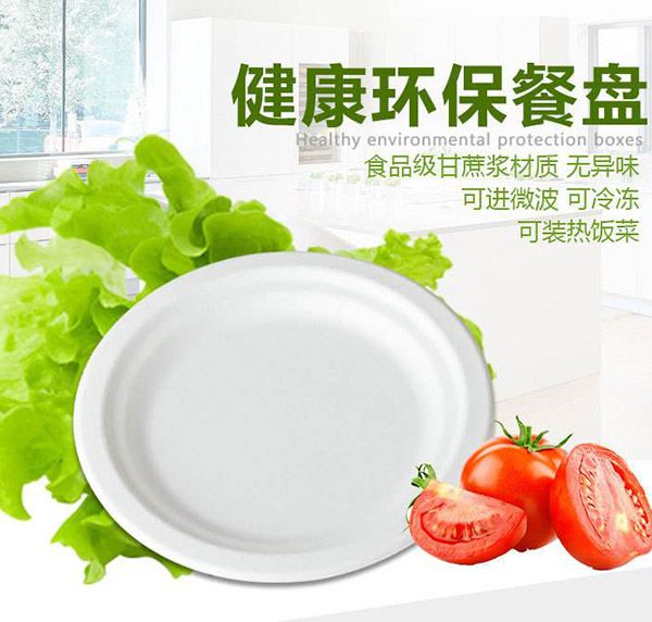 一次性饭盒